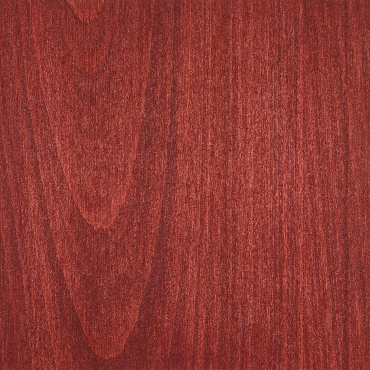 Beech