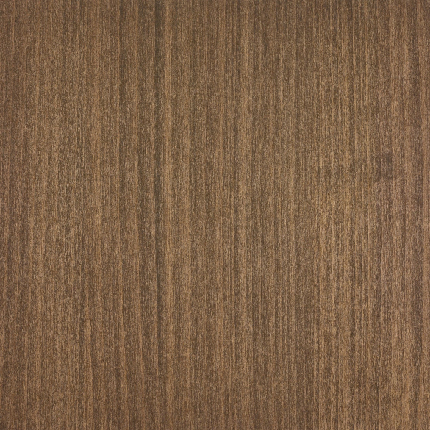 Beech