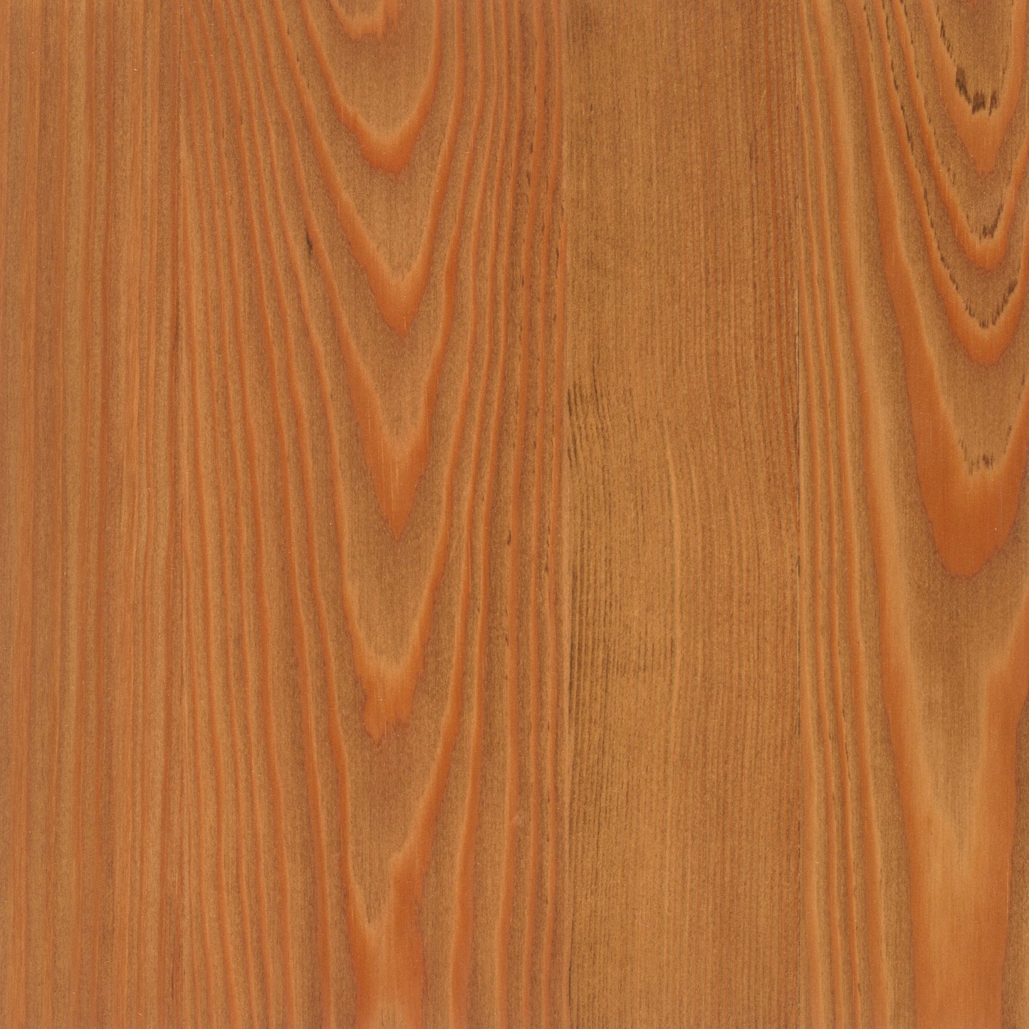 Larch